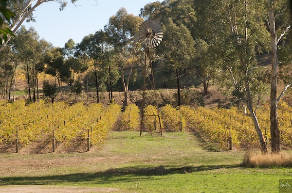 AustraliaAdelaide 10  170